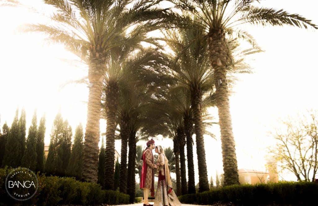 wedding couple kissing under the palm trees, around sunset, Orlando