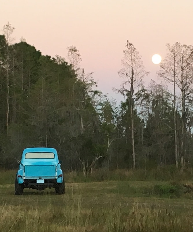 Mystical Winds blue pickup truck in field under a setting sun