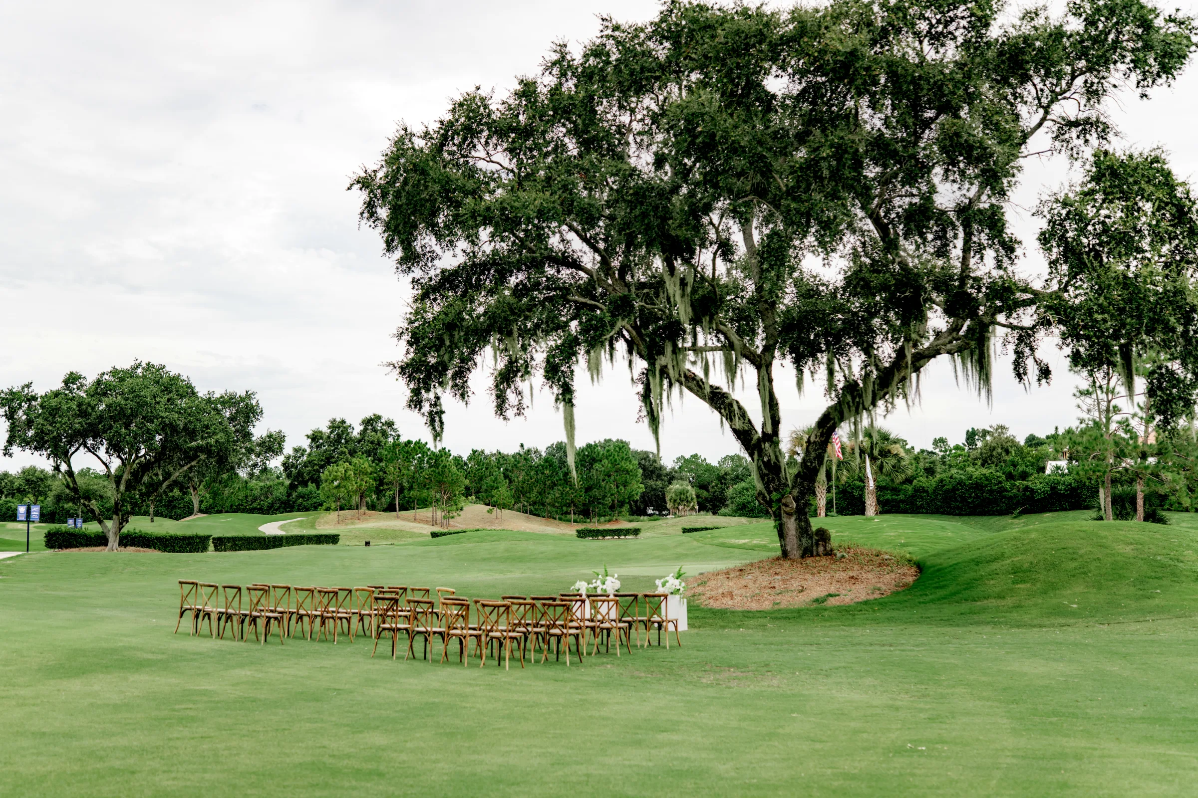 celebration-golf-club-8eb5c4ea