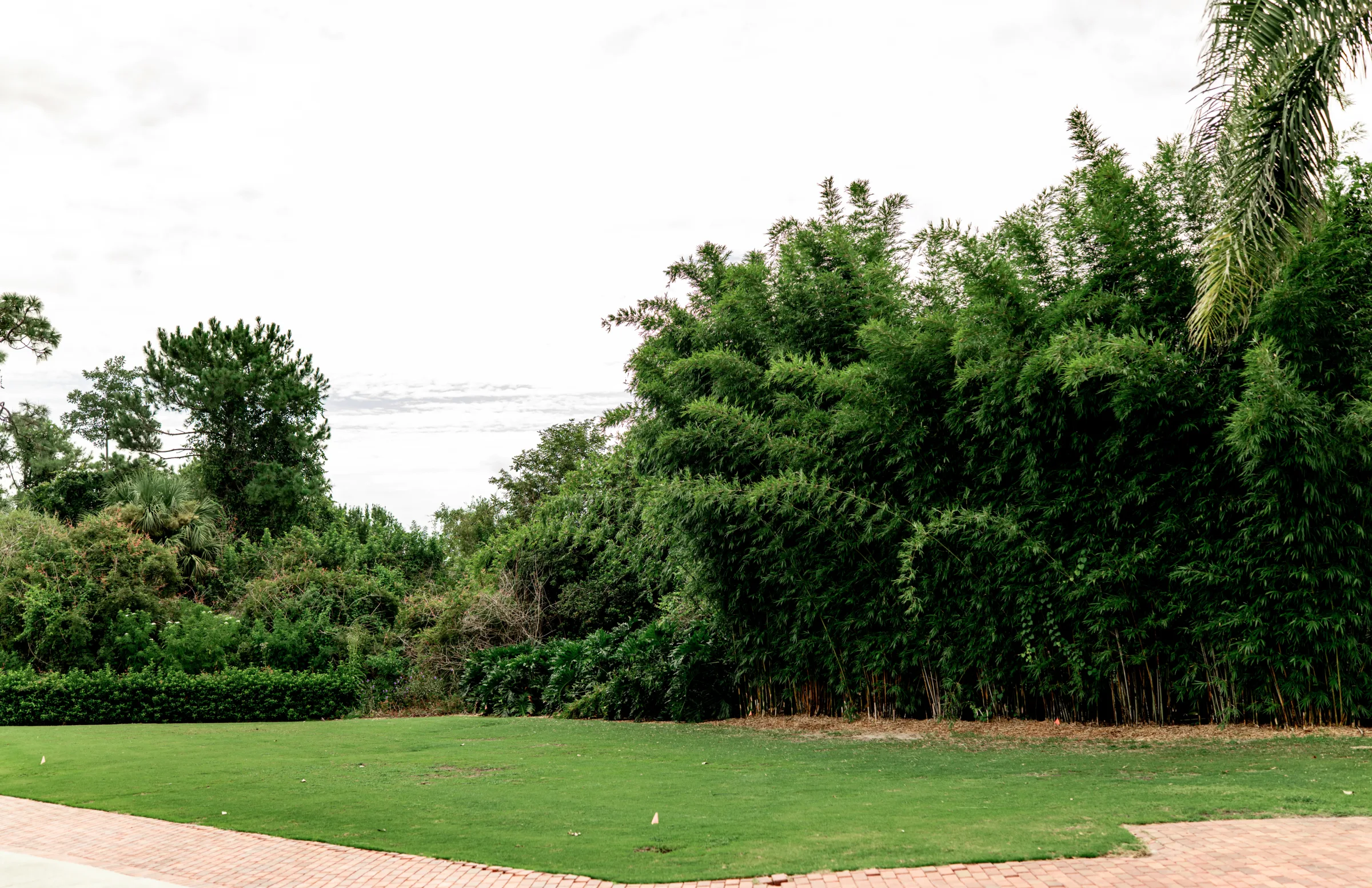 celebration-golf-club-e8b691c8