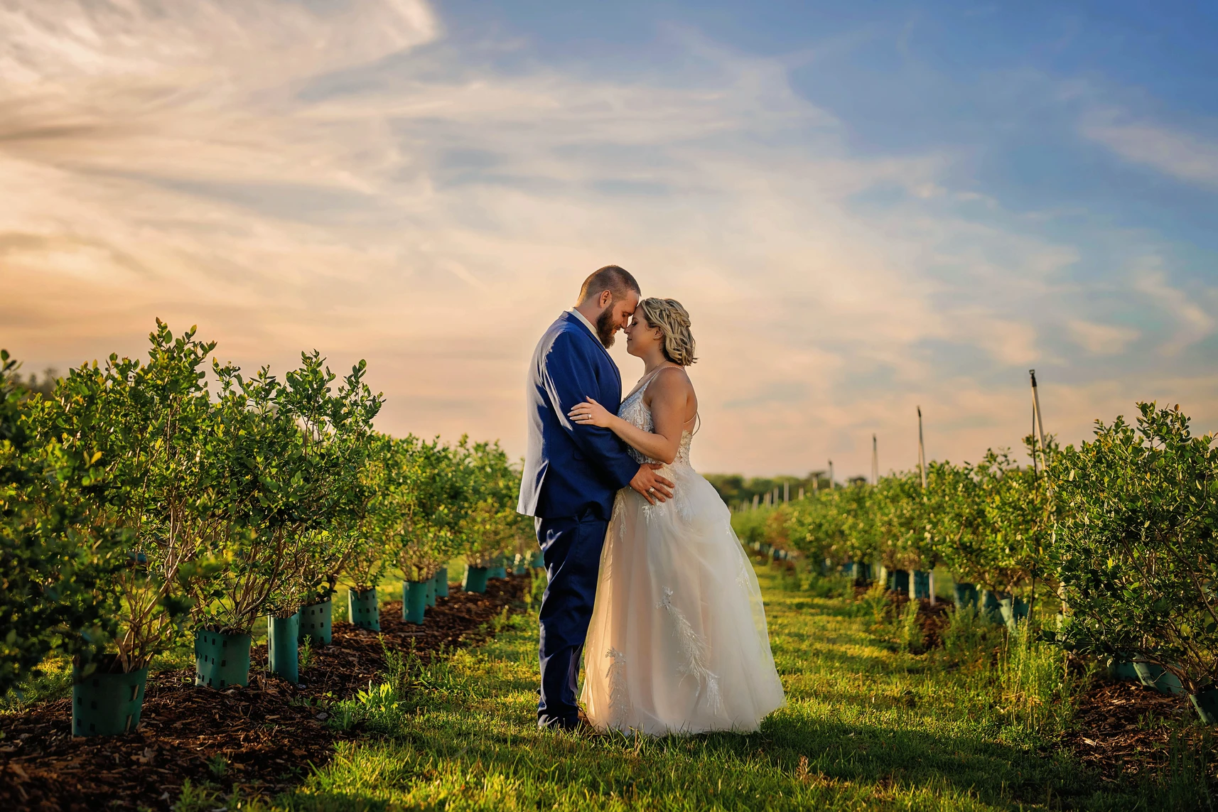 ever-after-farms-blueberry-barn-1ed141df