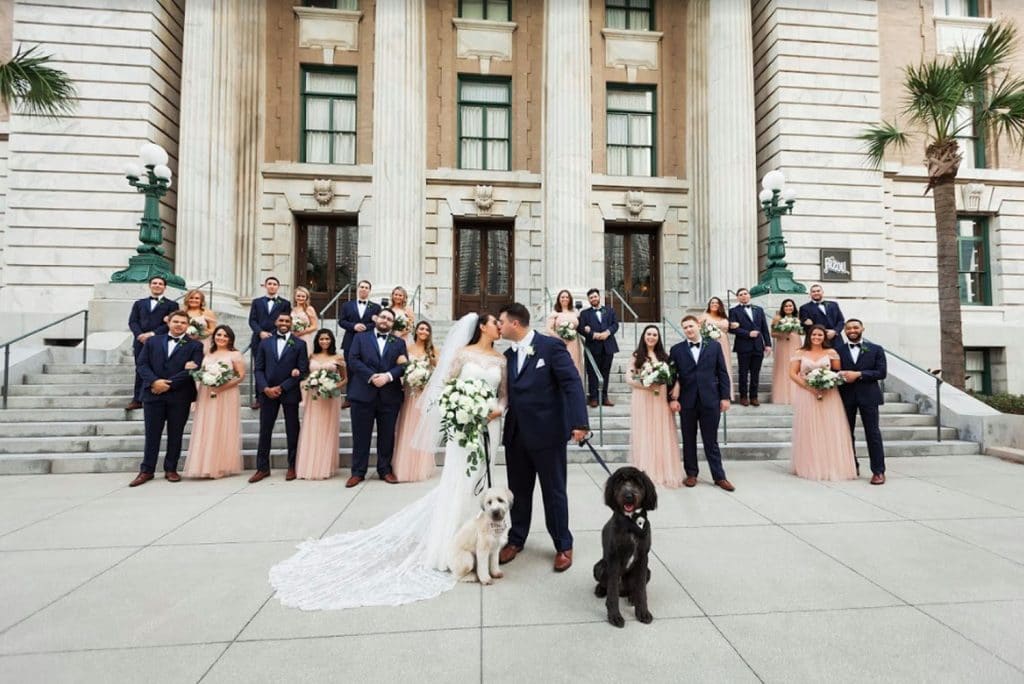 FairyTail Pet Care - wedding party with dogs