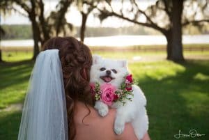 FairyTail Pet Care - bride with dog on shoulder
