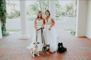 FairyTail Pet Care - two brides posing with their dogs