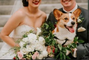 FairyTail Pet Care - bride and groom posing with beautiful Corgi