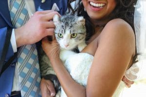 FairyTail Pet Care bride and groom holding cat