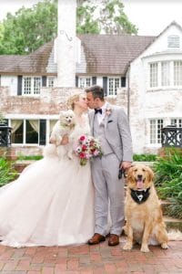 FairyTail Pet Care - bride and groom with dogs
