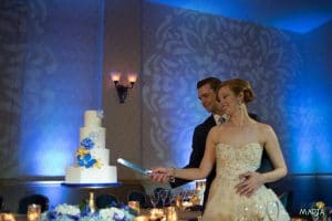 Everything Cake - bride and groom cutting beautiful blue and white cake