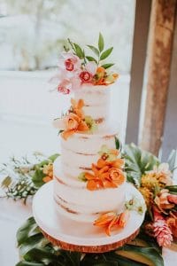 Everything Cake - semi naked cake with tropical orange blooms