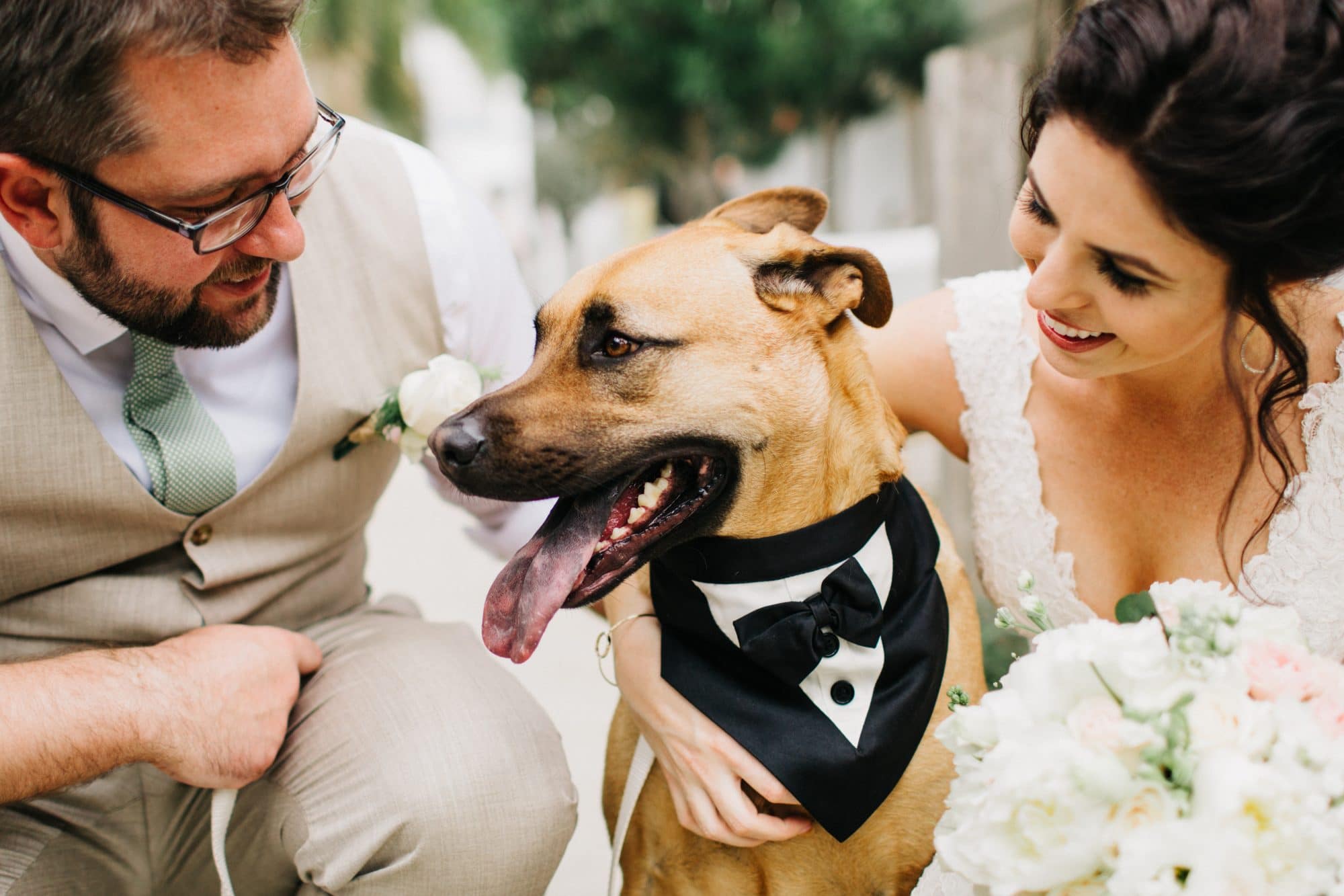 Bride and groom showing love to their dog.