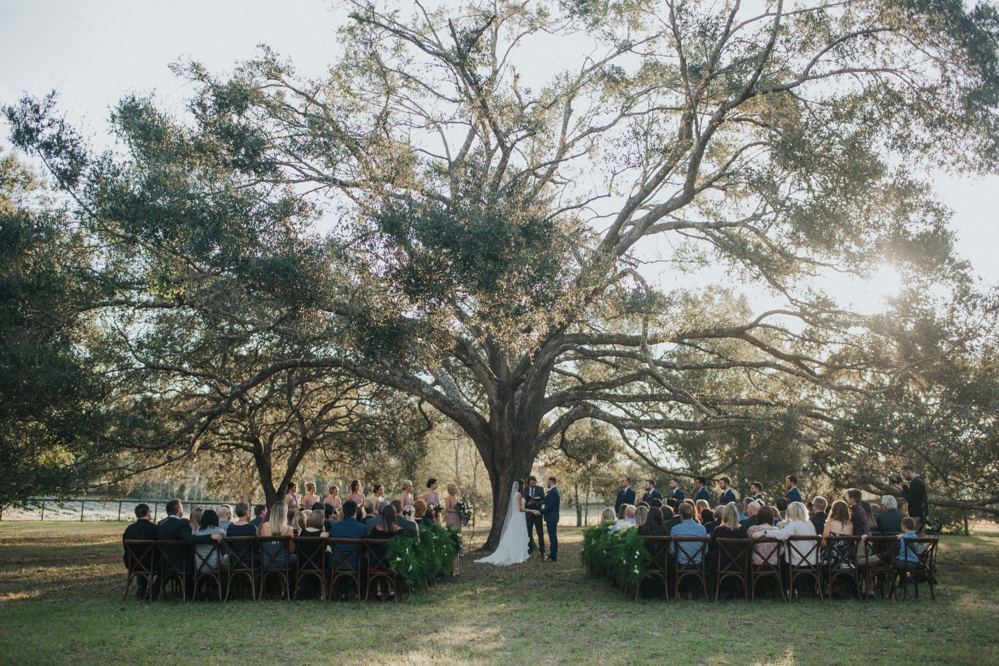 Arundel Estate - wedding ceremony under large oak tree