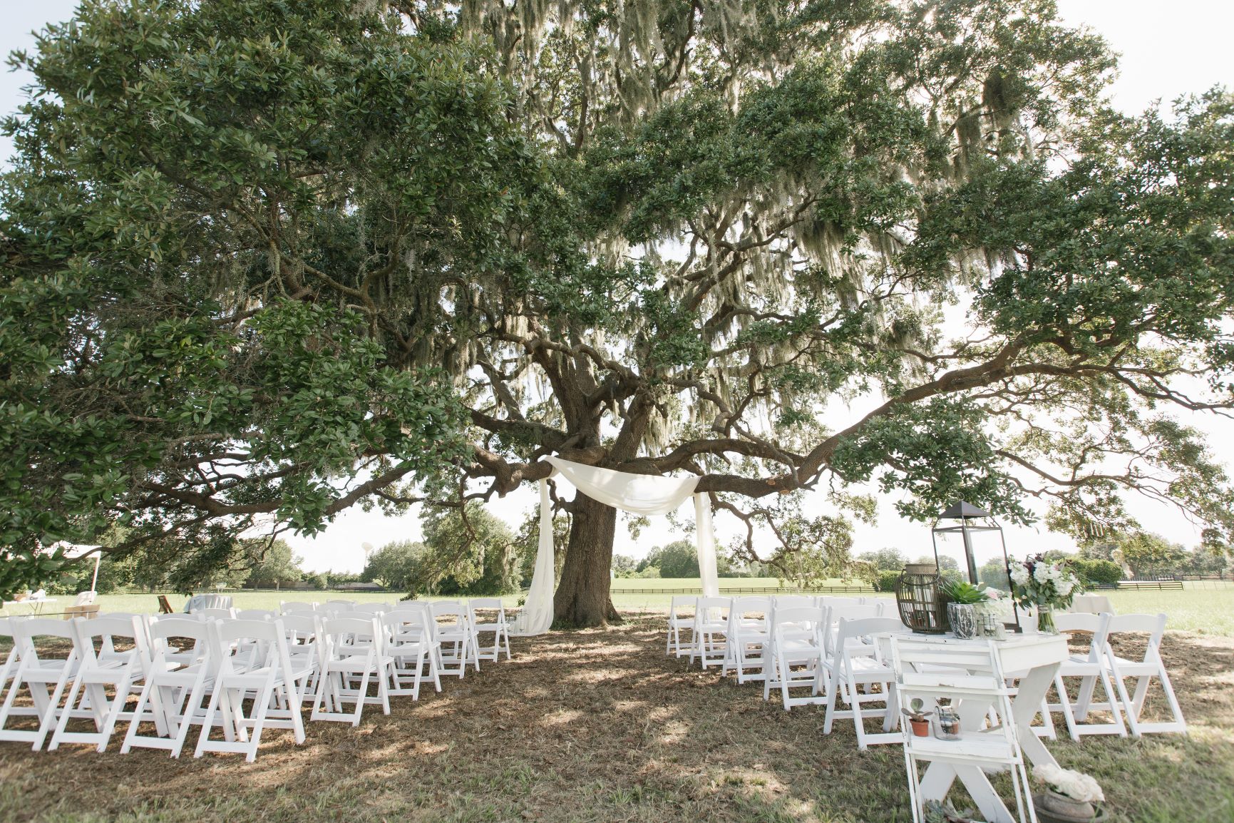 The Villages Polo Club - gorgeous ceremony spot underneath sprawling oak tree