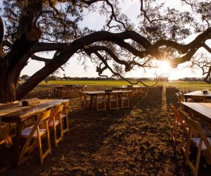 The Villages Polo Club - simple table and chairs set up beneath sprawling oak tree