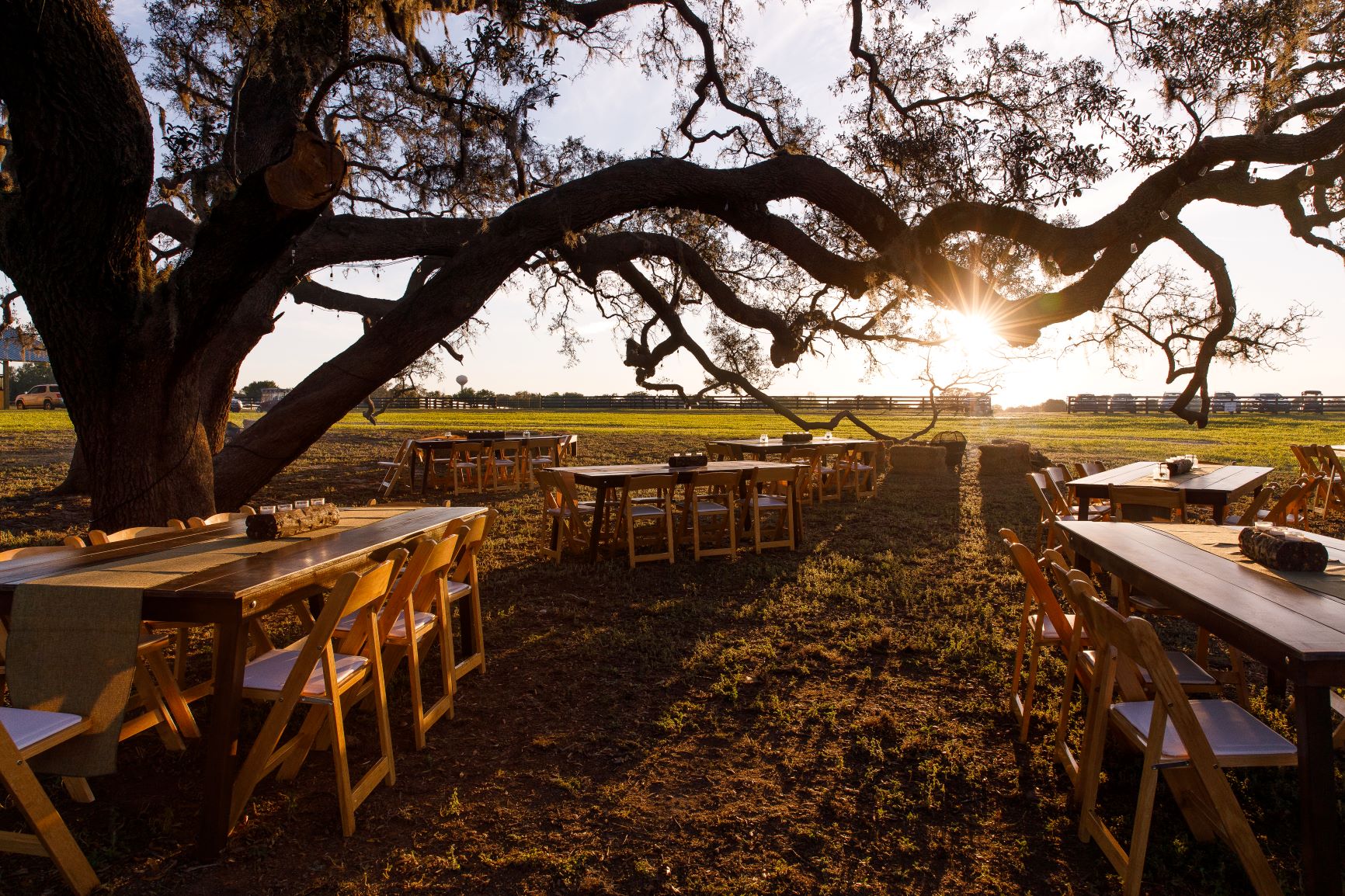 The Villages Polo Club - rustic reception tables set up under oak tree
