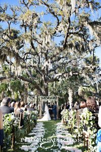 Estate on the Halifax - Wedding ceremony under mossy tree with flowers and wooden arch