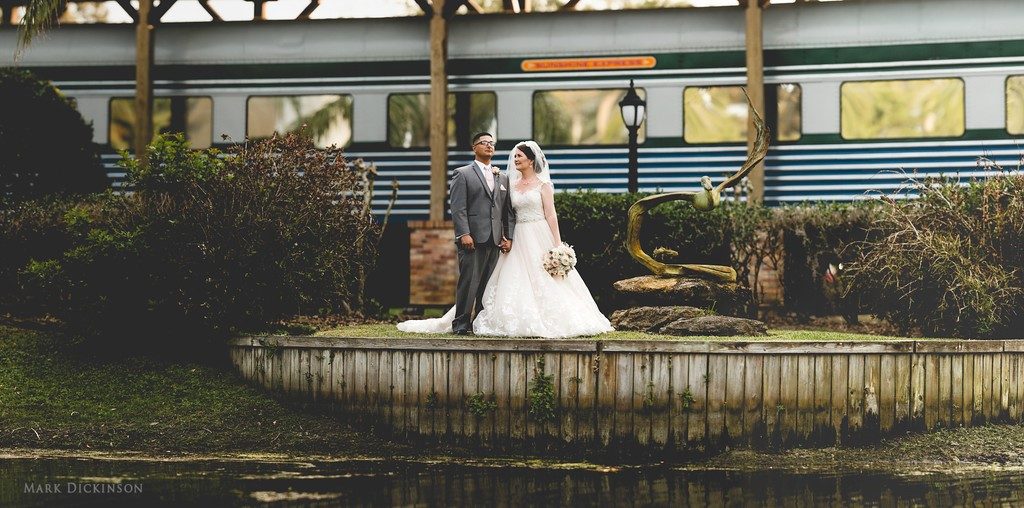 Estate on the Halifax - Bride and Groom pose next to natural statue and in front of train by the water