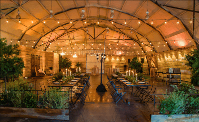 1010-West-Large table settings with greenery