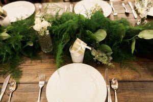 The Magnolia Company