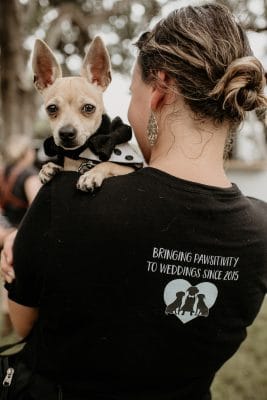 FairyTail Pet Care