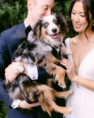 bride and groom with Australian Shepard