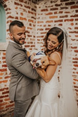 FairyTail Pet Care
