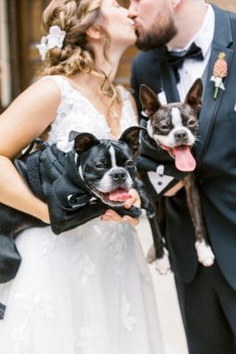 FairyTail Pet Care