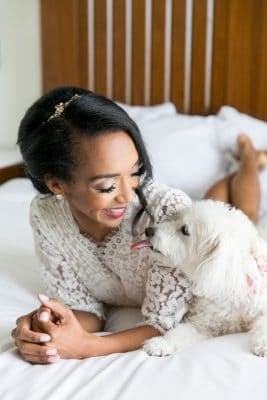 FairyTail Pet Care
