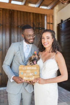 FairyTail Pet Care