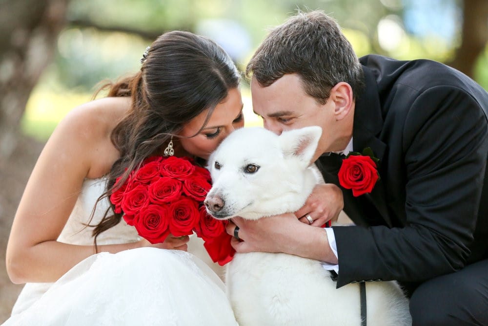 Live-Happy-Studio-Bride and Groom kissing family dog