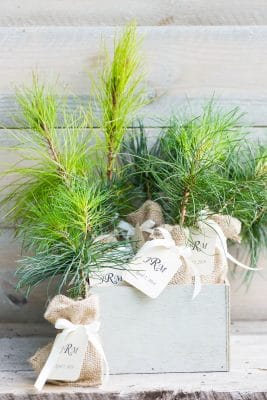 The Magnolia Company