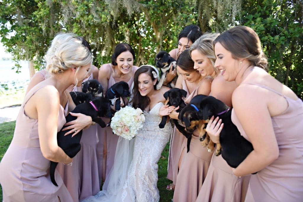 Rhodes Studios Photography and Video smiling bride and bridesmaids with puppies