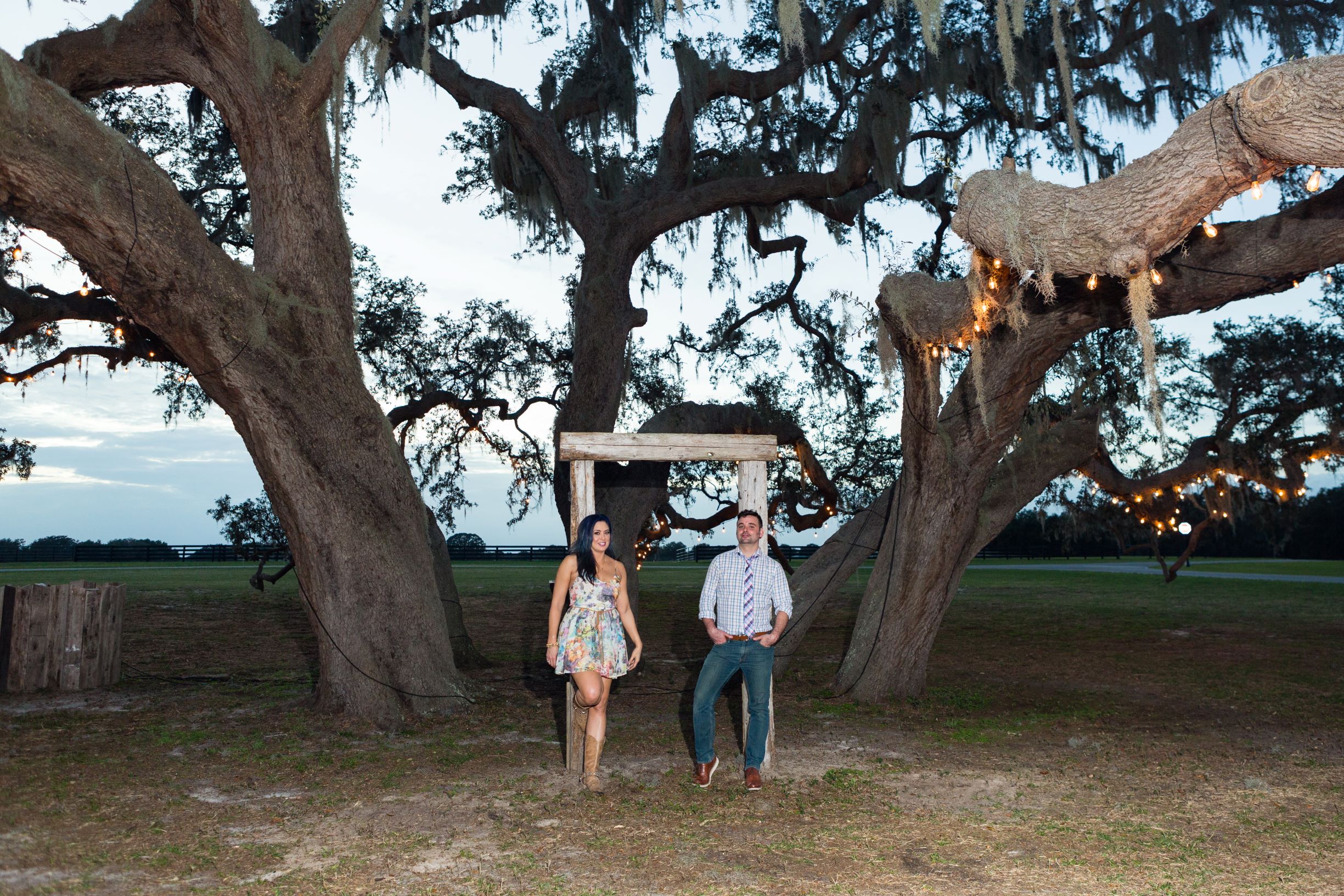 The Villages Polo Club - engagement shoot beneath sprawling oak tree hung with market lighting
