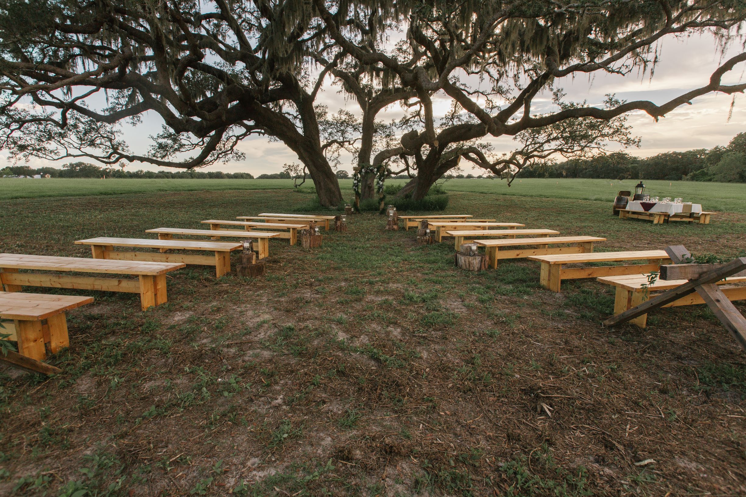 The Villages Polo Club - benches for wedding ceremony set out in front of sprawling oak tree