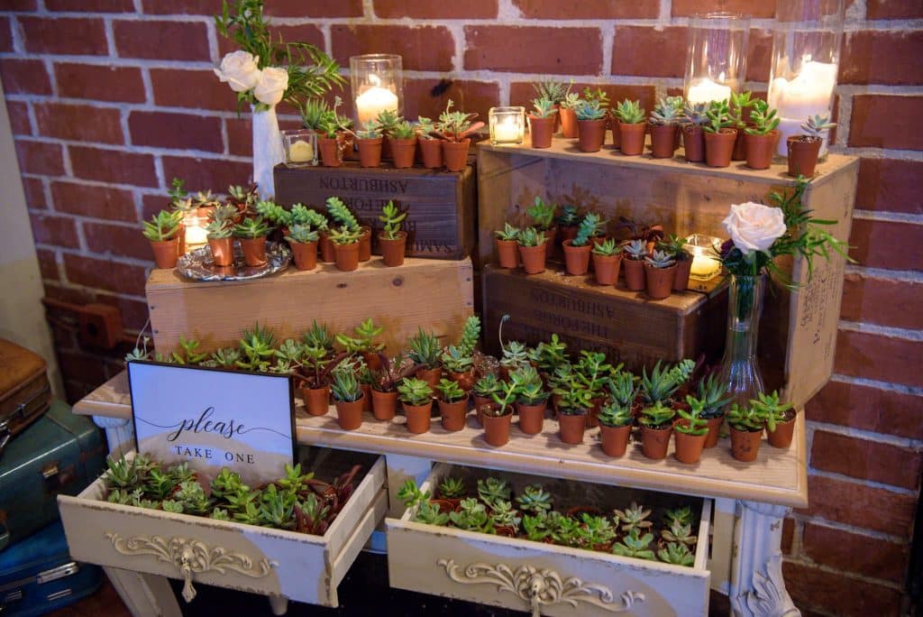wedding favor display with potted plants