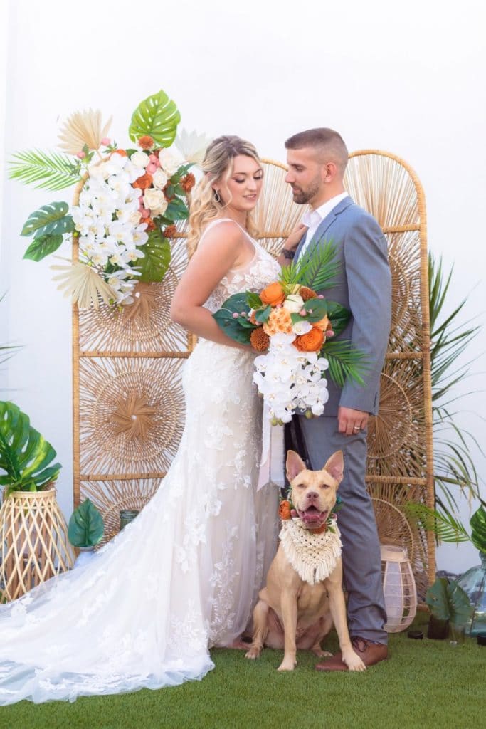 Furry-Ventures-Pet-Care-Bride and Groom with dog in photoshoot