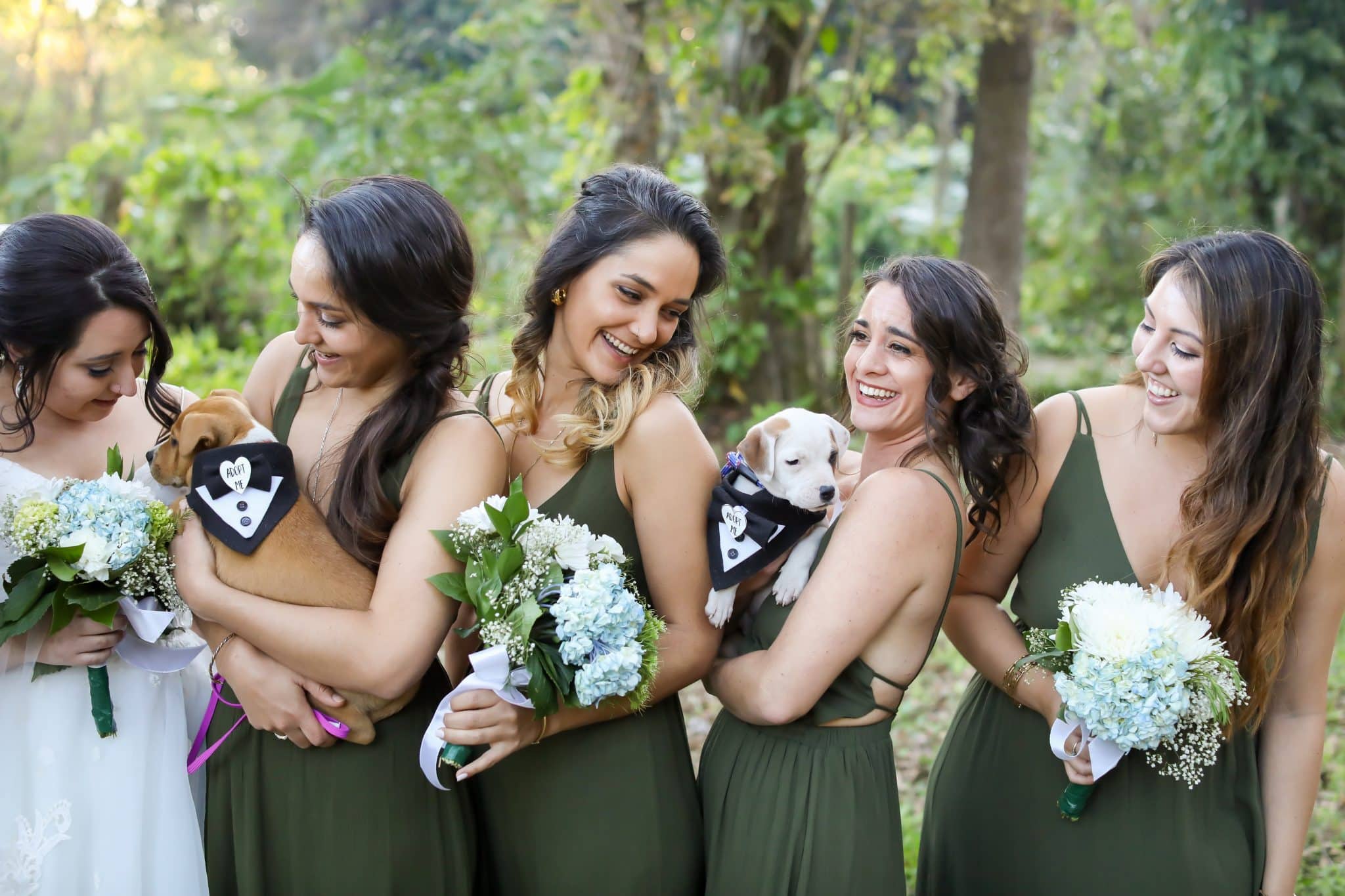 FairyTail Pet Care- bride bridesmaids with puppies in bandanas