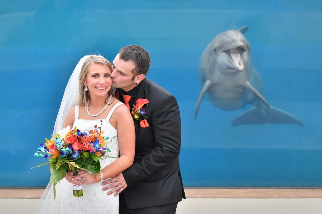 Jennifer Juniper Photography - Bride and groom kissing with a dolphin in the background