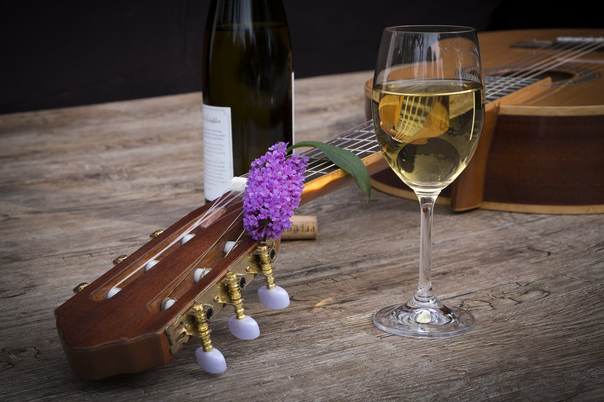 Guitar and Wine for singing telegram