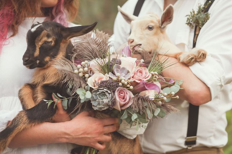 Lowe and Behold bride and groom holding baby goats with rustic flower bouquet