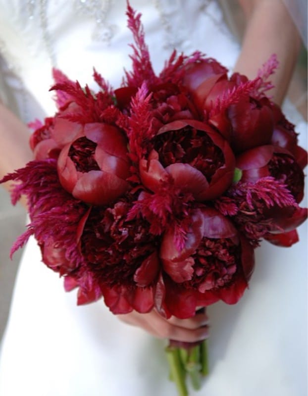 Lowe and Behold bride holding dark red flower bouquet in front of her white dress