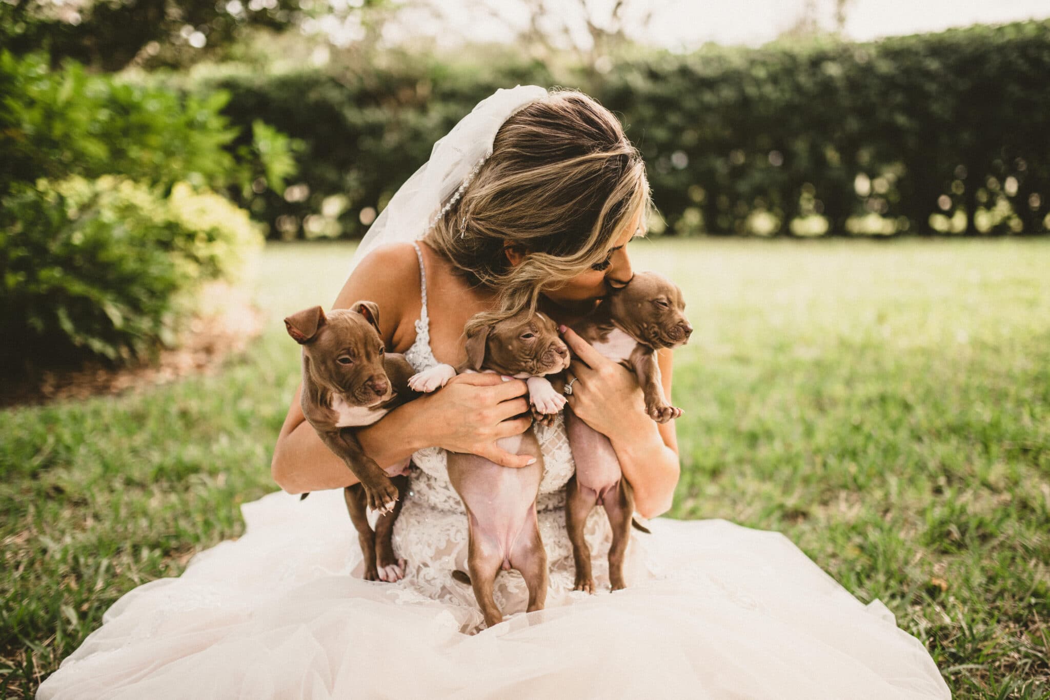 bride kneeling outside in wedding dress playing with three puppies