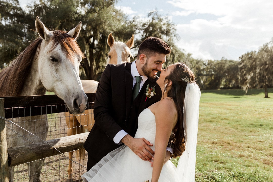 close up shot of bride and groom touching noses in front of two horses