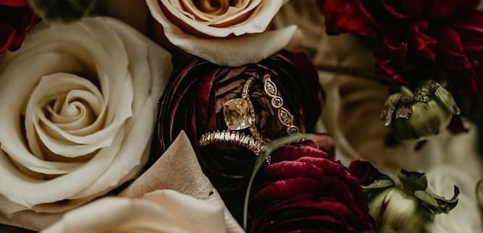 wedding rings on a dark red rose