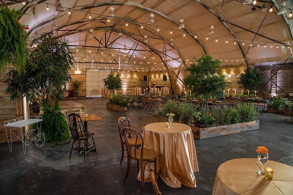 area setup for wedding reception featuring beautiful lighting, tables and chairs for guests, and green plants to add atmosphere