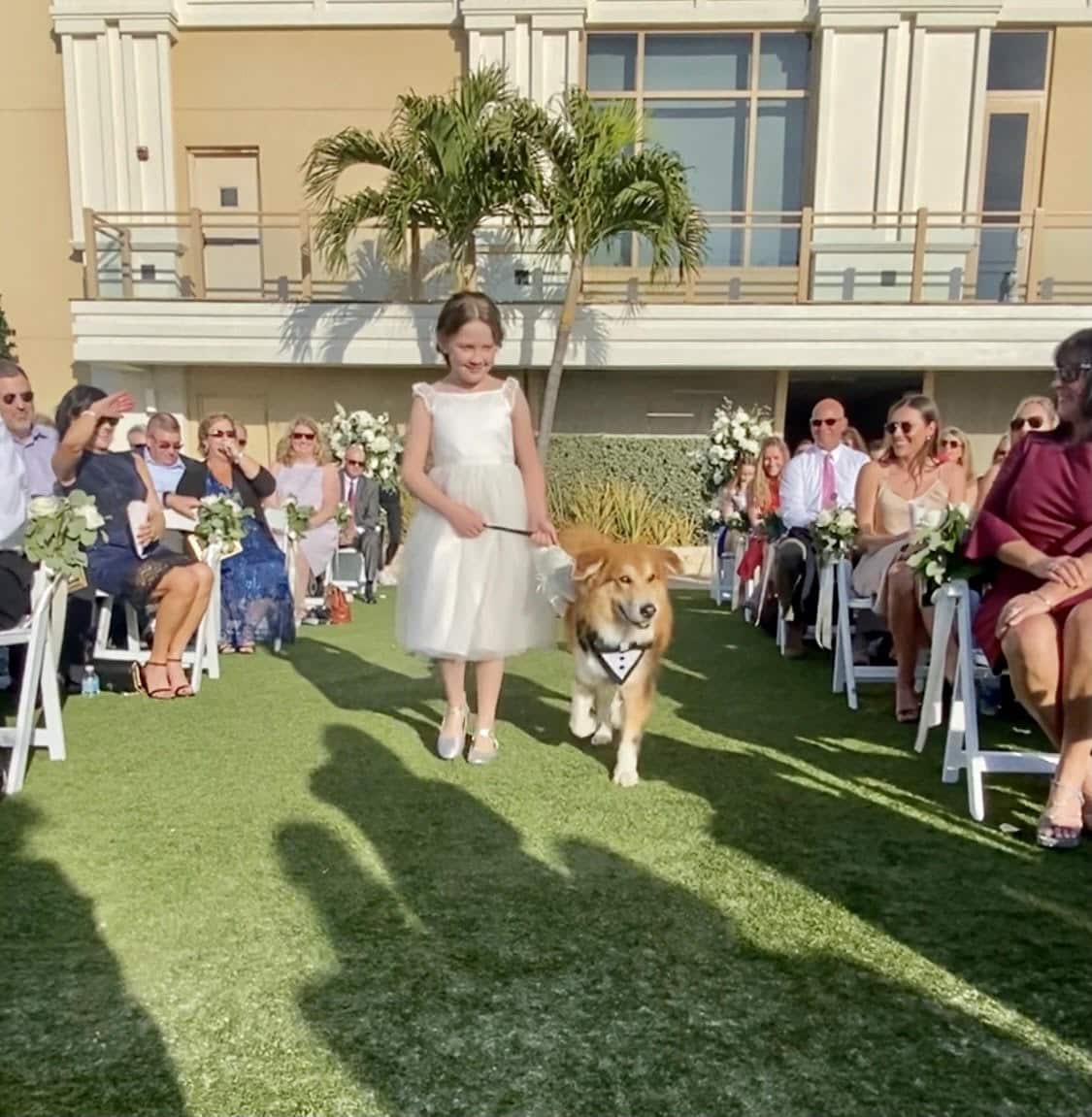 dog walking down the aisle at the wedding