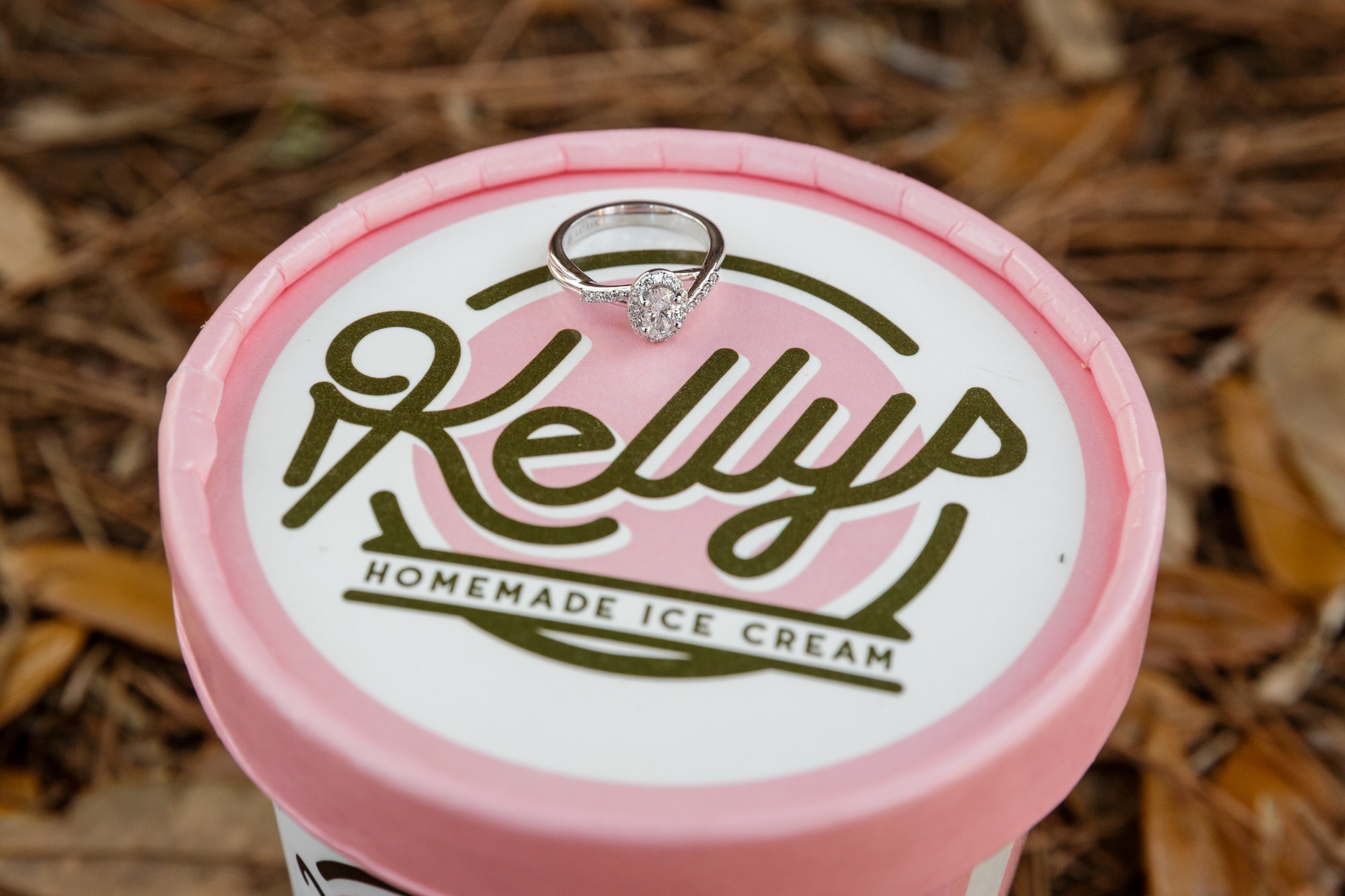 top of kelly's homemade ice cream marriage proposal container on leaves with engagement ring on top