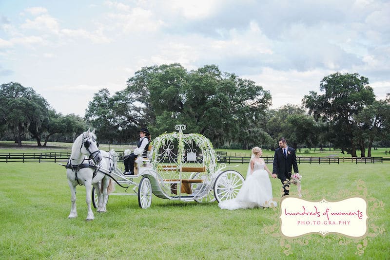 bride and groom walking next to a horse drawn carriage like Cinderella's