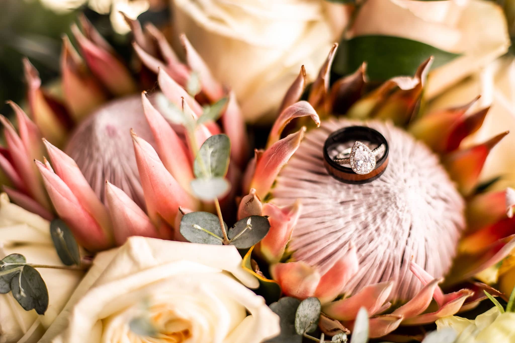 husband and wifes rings sitting together on top of large protea flowers of brides bouquet