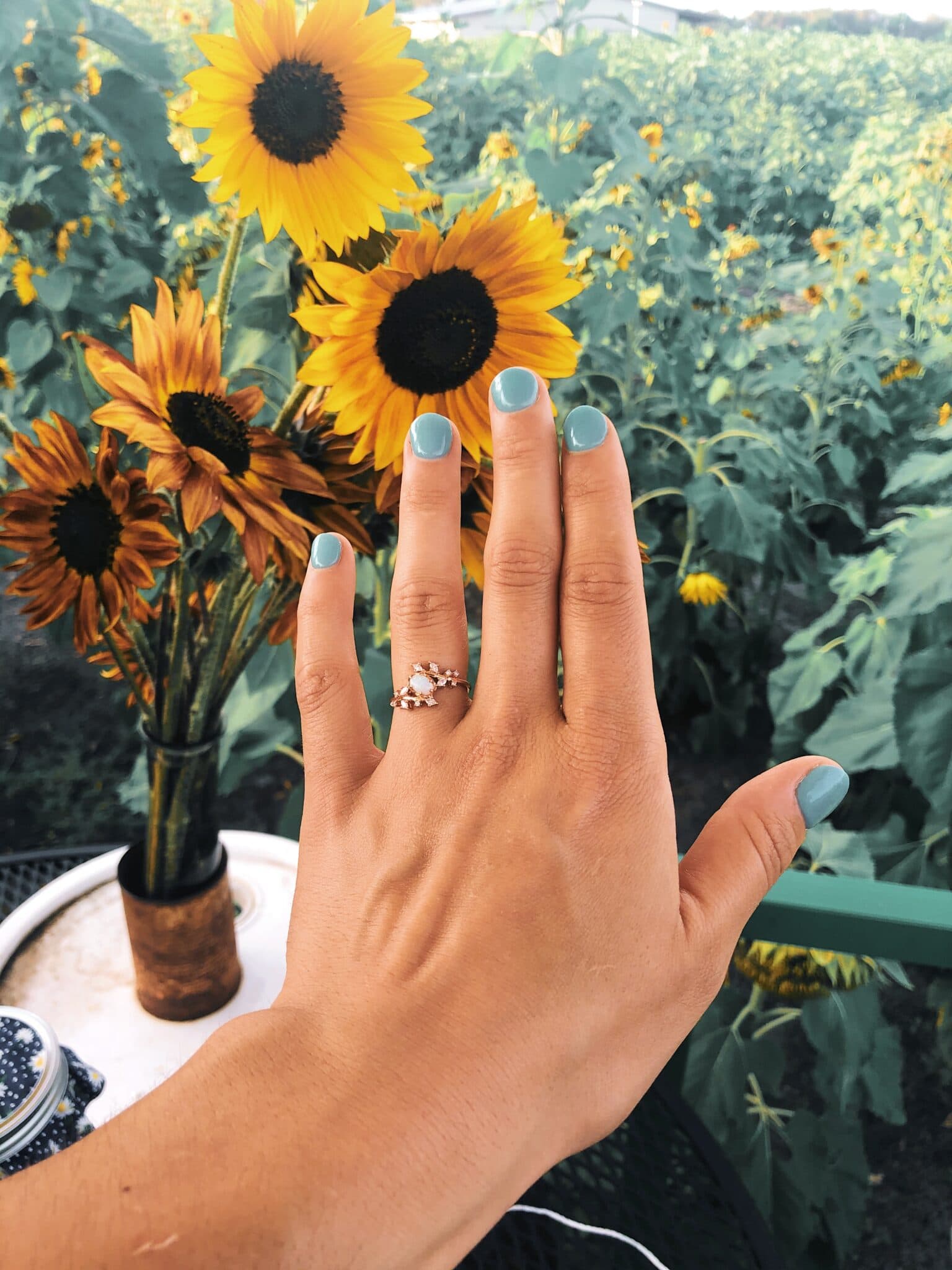 Orlando Florida Sunflower Field Marriage Proposal - 19