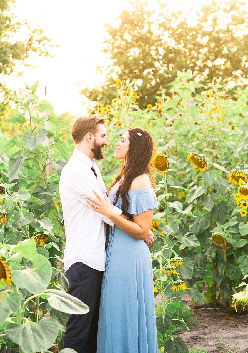 sunflower field marriage proposal photoshoot